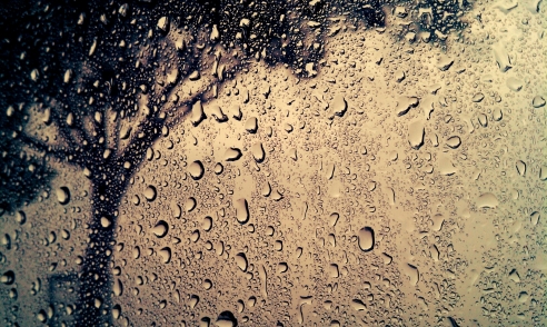 Those innocent drops of rain falling from the sky never know the thousand ways in which they may shine.